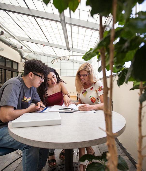 Student in Academic Success Center